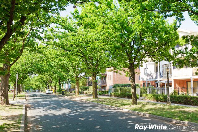 6/21 Ijong Street, BRADDON, ACT 2612