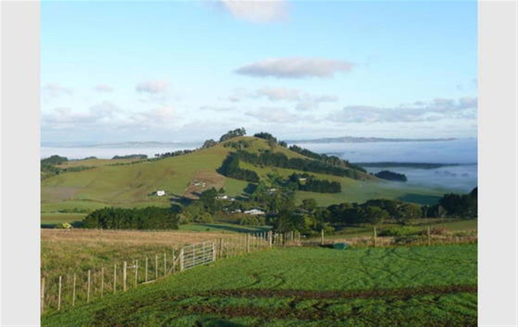 ONEWHERO, Franklin