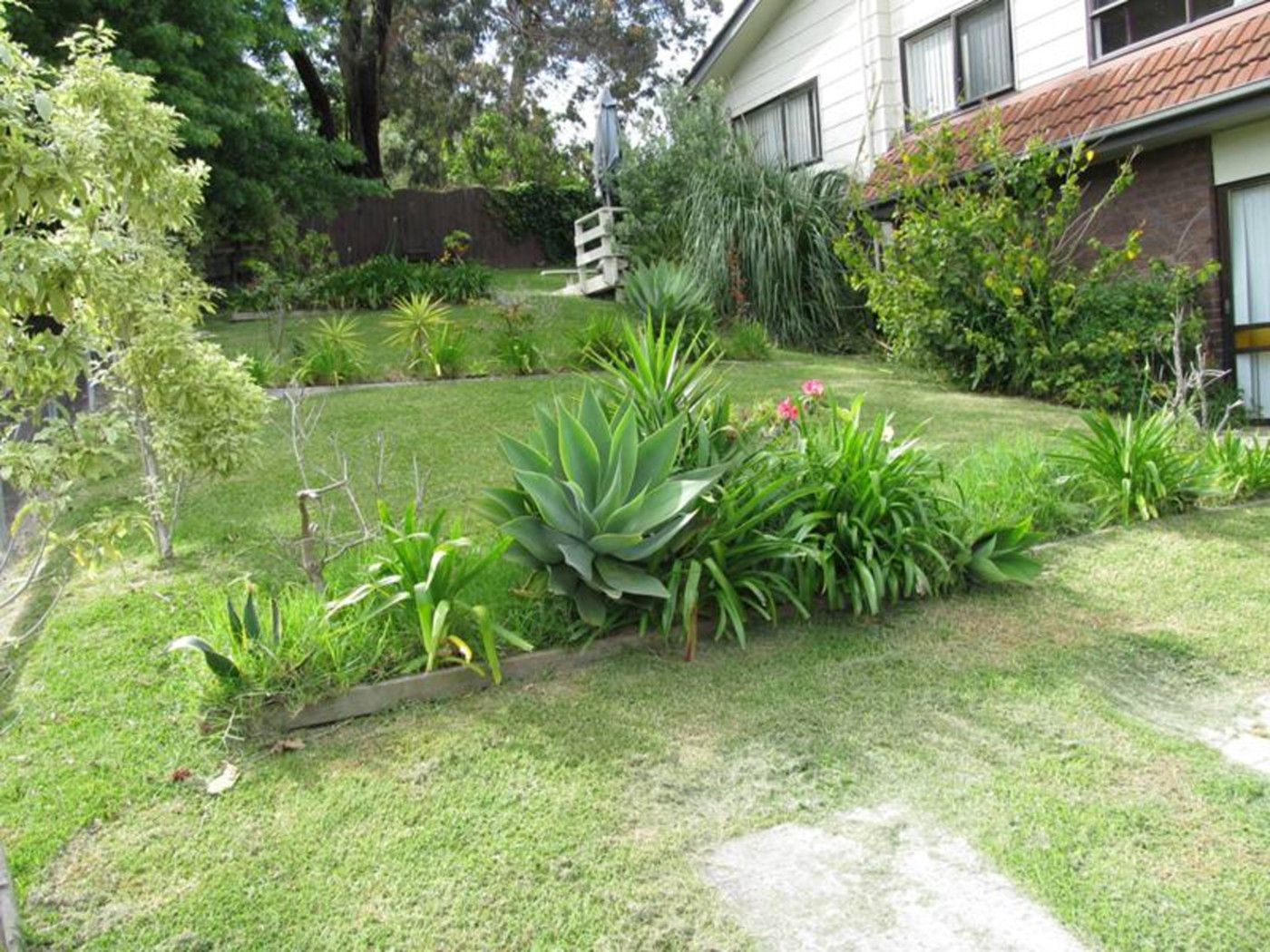 83 Kennedy Avenue, FORREST HILL, North Shore City