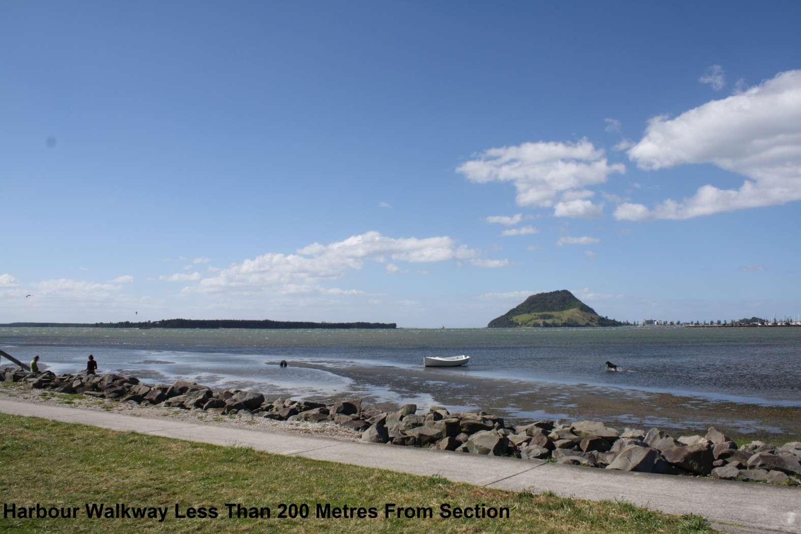 14 Kulim Avenue, Bureta, Tauranga City Real Estate Ray White New