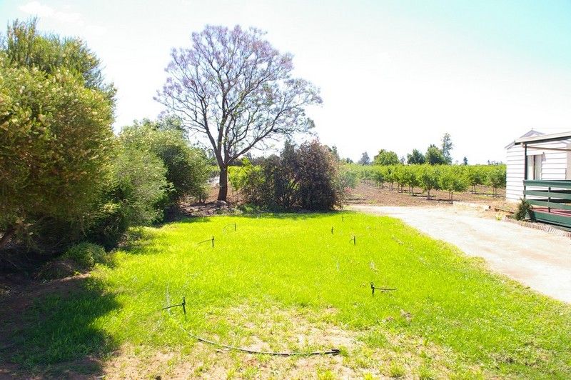 LOT 1 Twenty-Fifth Street, RENMARK, SA 5341