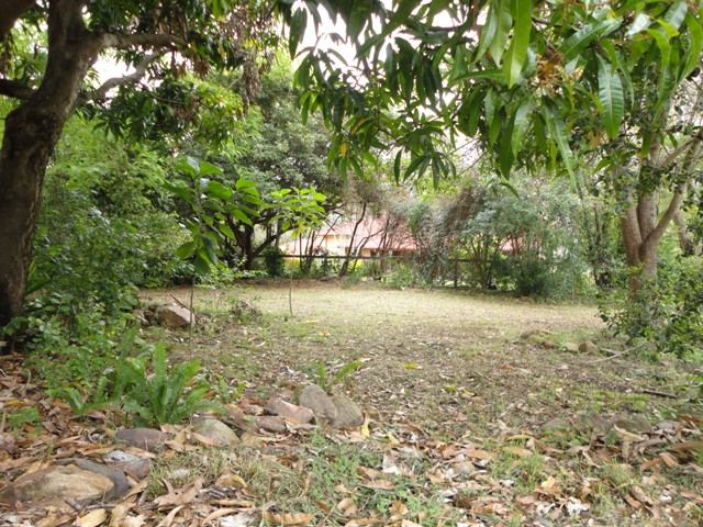10 Stephenson Street, SADLIERS CROSSING, QLD 4305