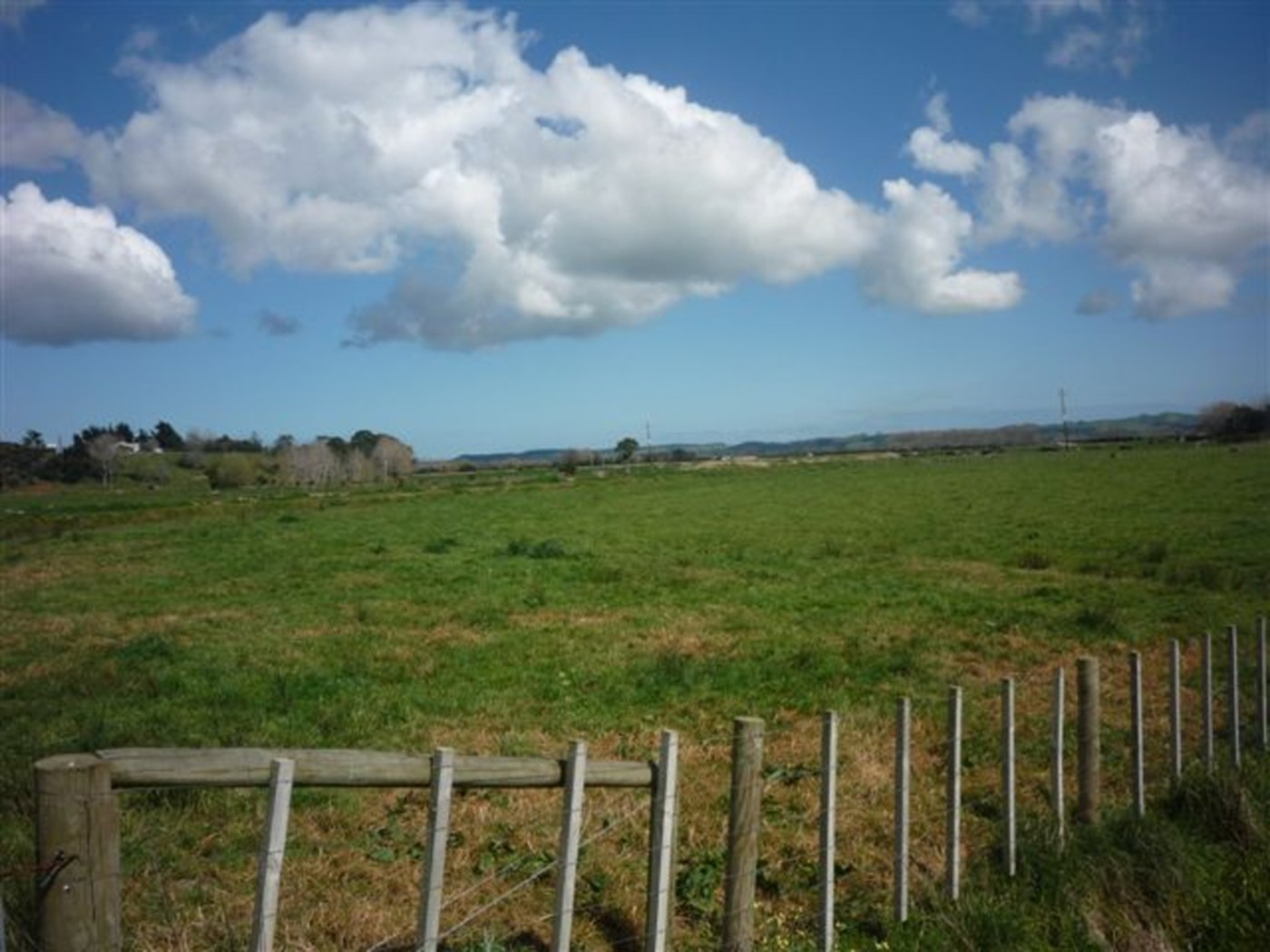 Otaua, Waikato District