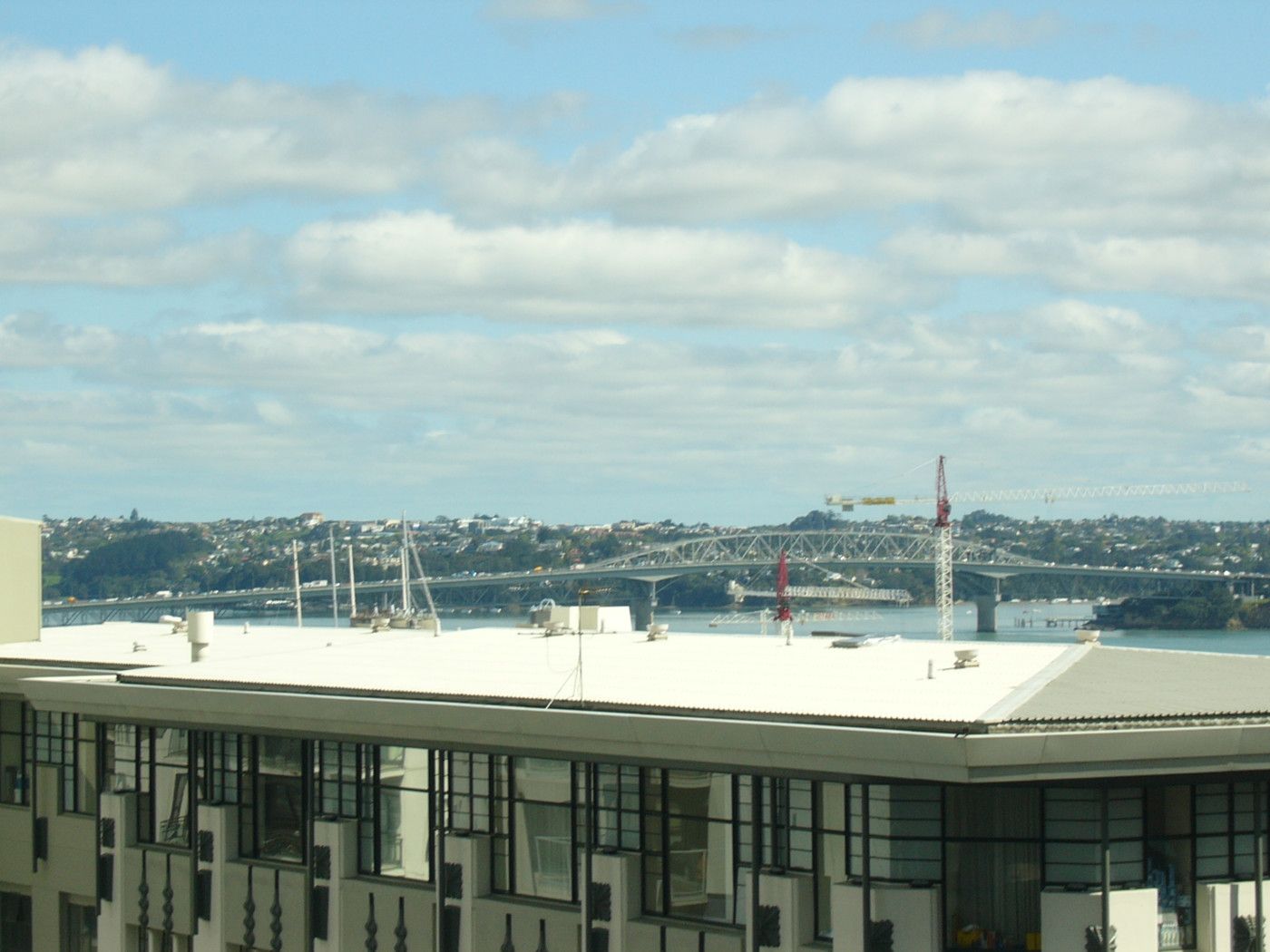 AUCKLAND CENTRAL, Auckland City