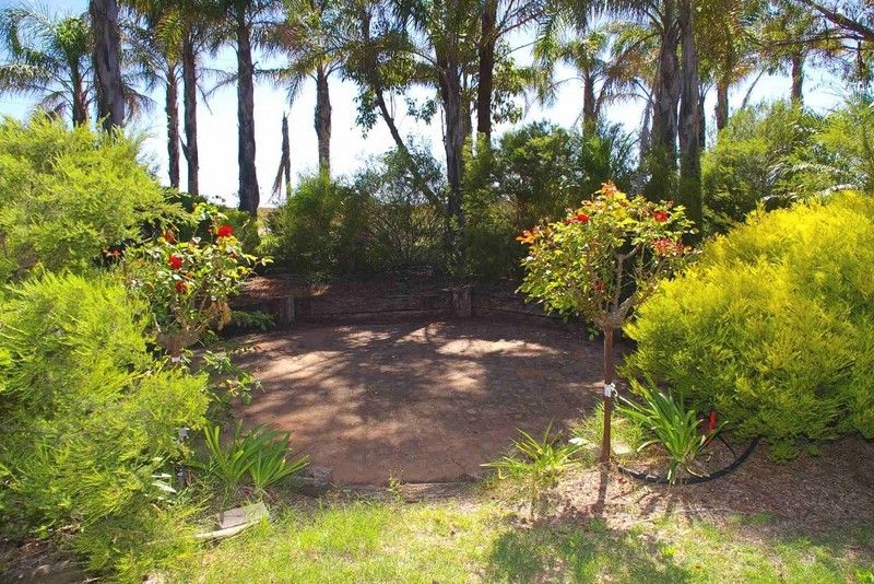 Lot/5 Pike Creek Road, LYRUP, SA 5343