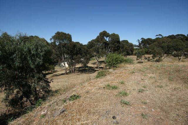 Lot 50 March Court, CLARE, SA 5453