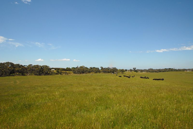 610 North Road, PEARCEDALE, VIC 3912
