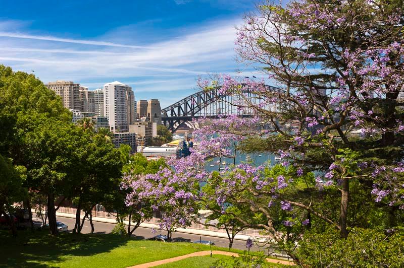 26 Lavender Street, LAVENDER BAY NSW 2060