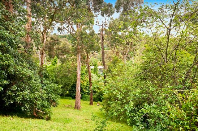 24 Royal Street, UPPER FERNTREE GULLY, VIC 3156