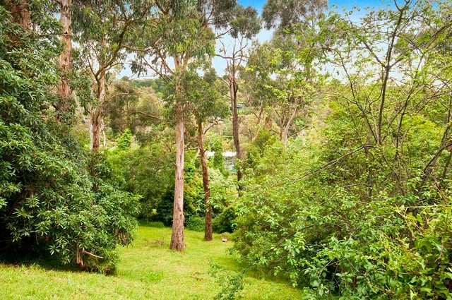 24 Royal Street, UPPER FERNTREE GULLY, VIC 3156