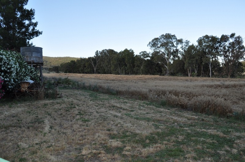 Lot 162 North Street, EUGOWRA, NSW 2806