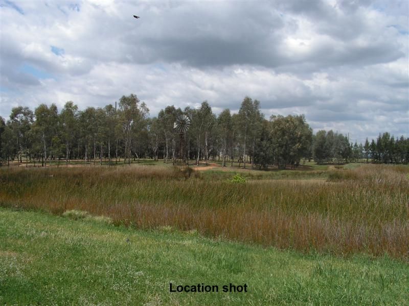 Lot 134 Cobbity Avenue, DUBBO, NSW 2830