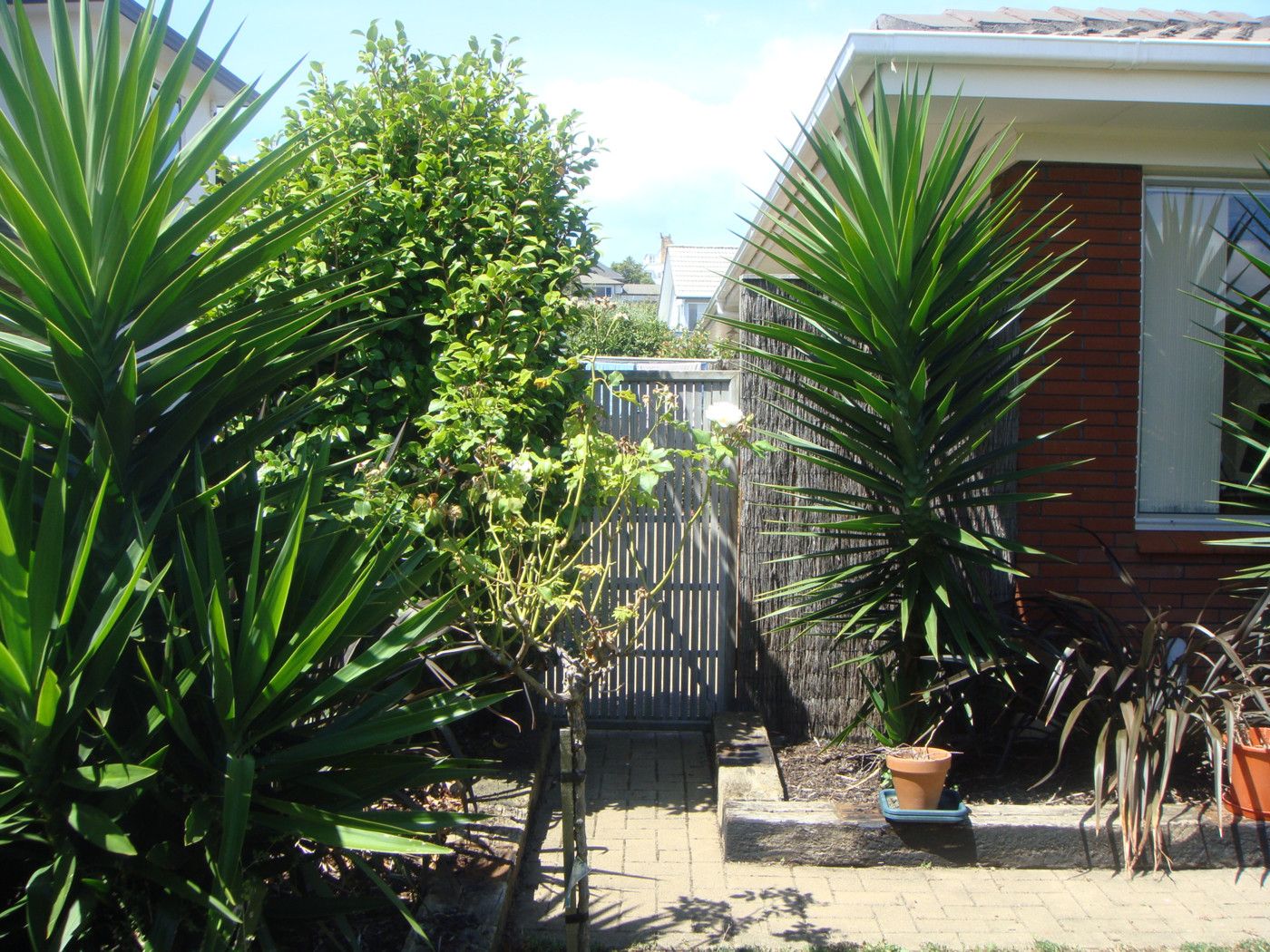 BUCKLANDS BEACH, Manukau City