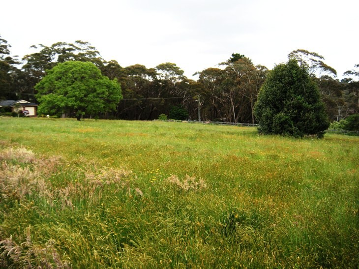 Lot 203 McCall Avenue, BLACKHEATH, NSW 2785