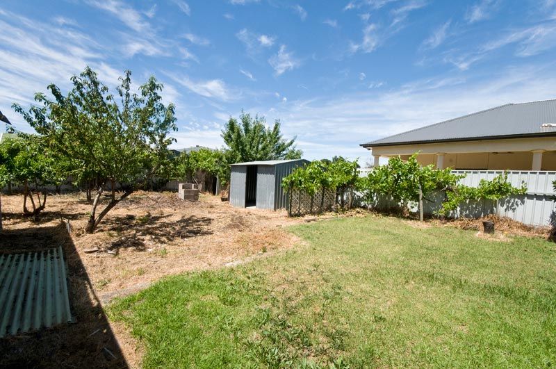 10 Rodney Street, WOODVILLE, SA 5011