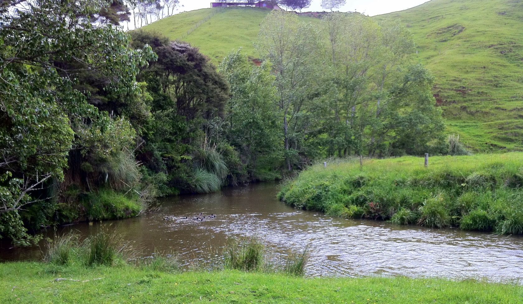4098 Kawhia Road, Oparau, Otorohanga District