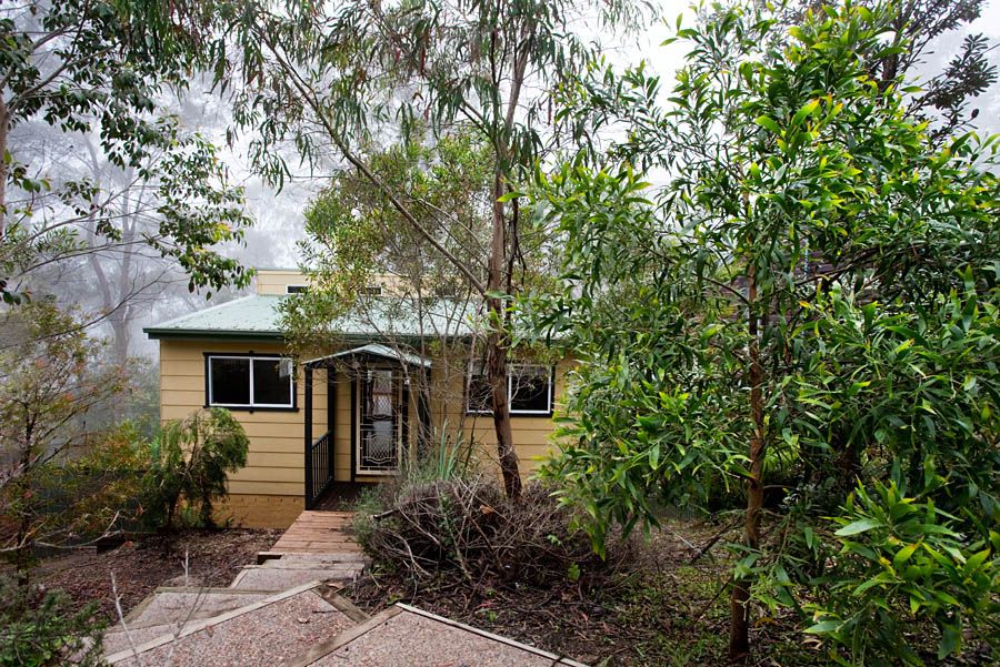 31 Rodriguez Avenue, BLACKHEATH, NSW 2785