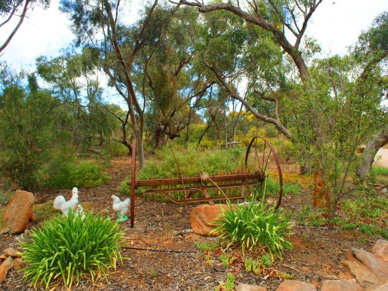 548 Maurice Road, MURRAY BRIDGE, SA 5253
