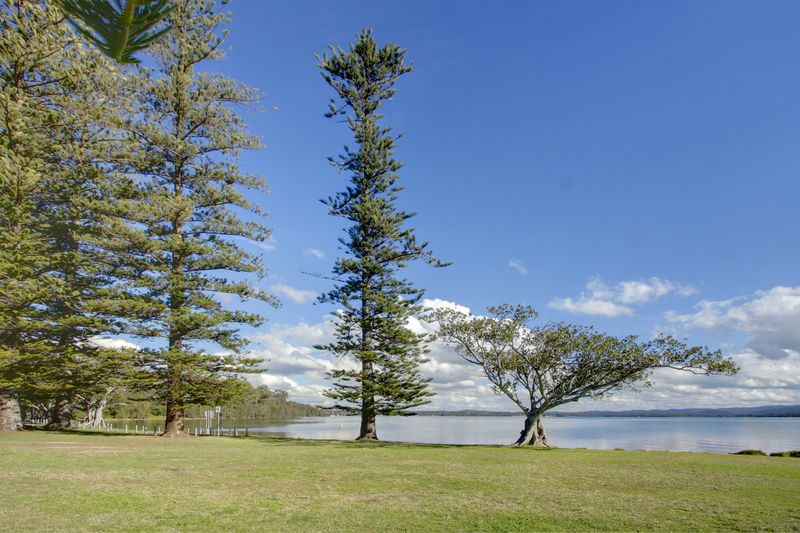 3 Queen Street, BALCOLYN, NSW 2264