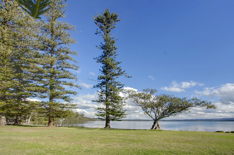3 Queen Street, BALCOLYN, NSW 2264