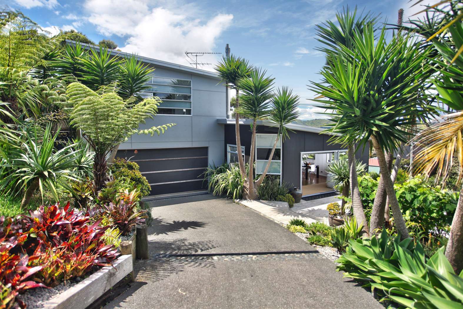Palm Beach Waiheke Island, Palm Beach, Waiheke Island Real Estate