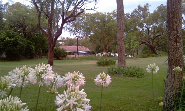 15 Banyula Drive, TORRINGTON, QLD 4350