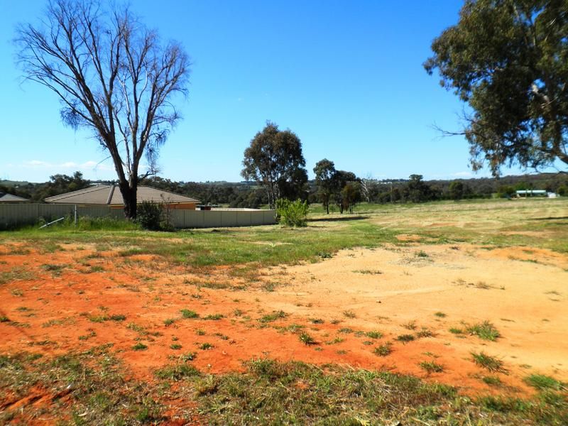 74 Briggs Street, YOUNG, NSW 2594