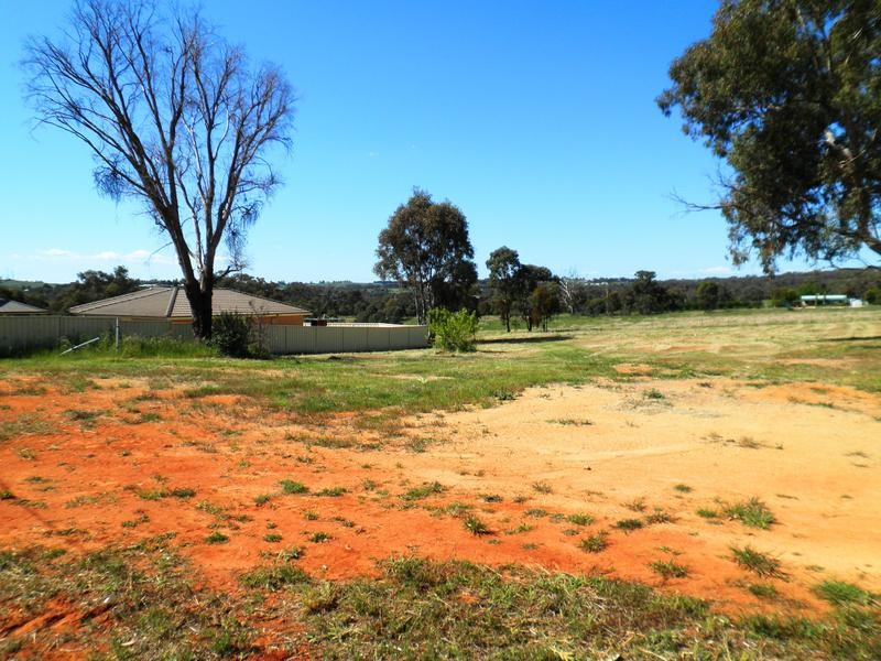 74 Briggs Street, YOUNG, NSW 2594