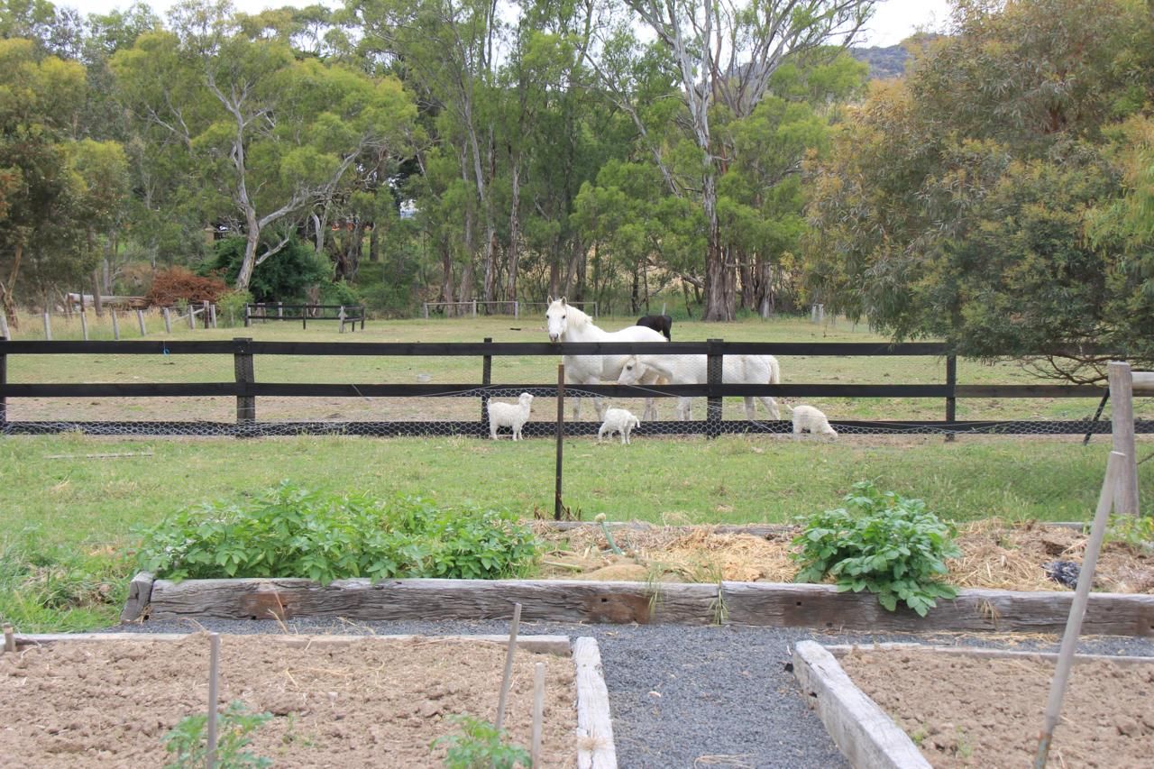 8 Wason Court, TOOBORAC, VIC 3522