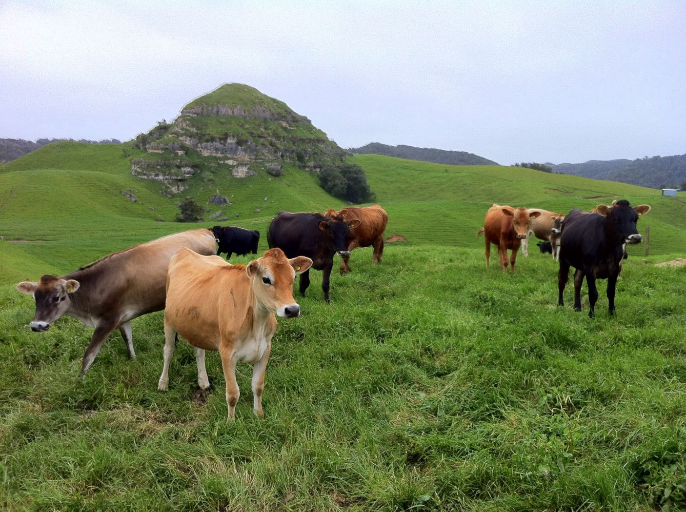 1061 Harbour Road, Oparau, Otorohanga District