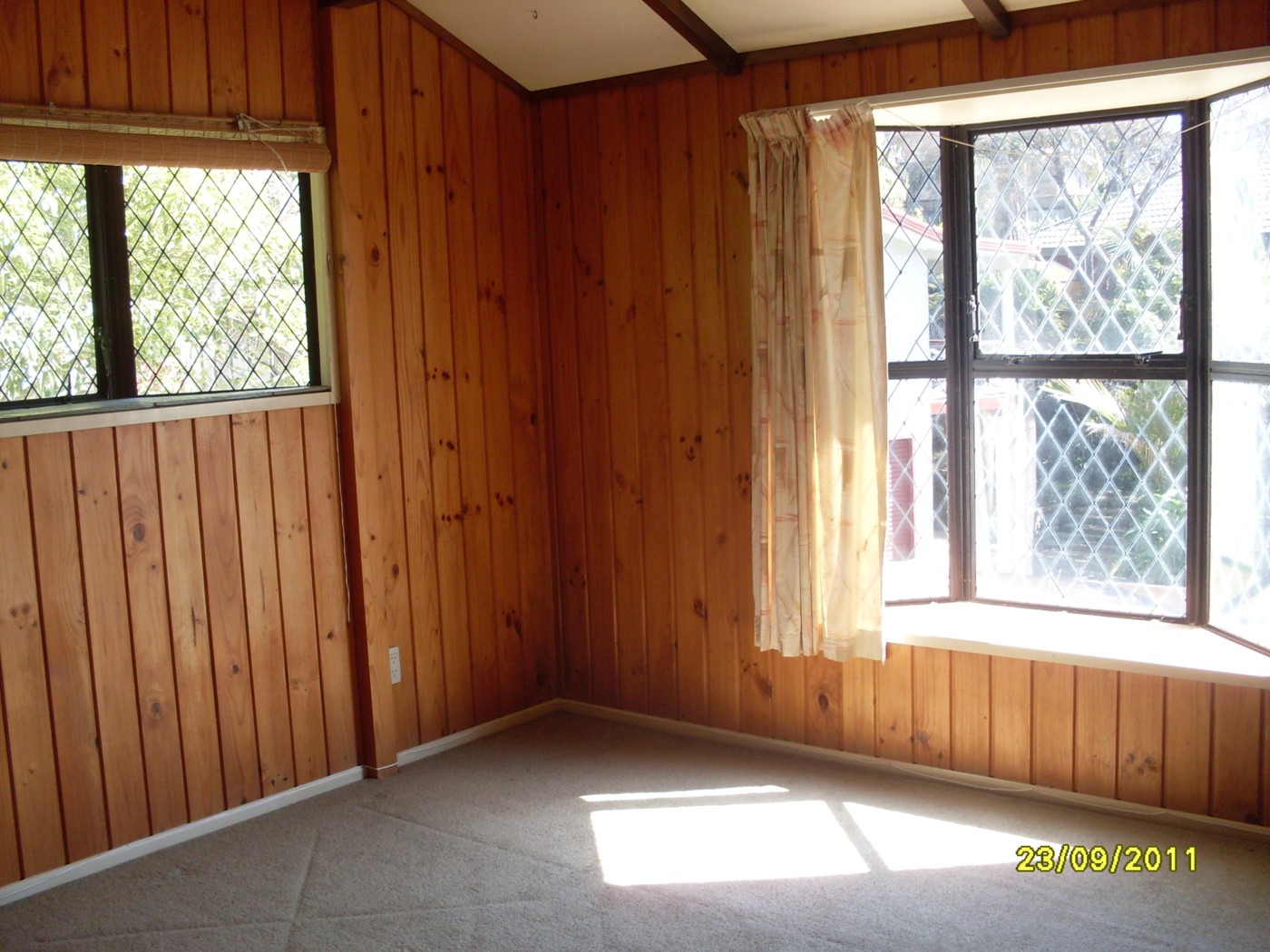 36 Carew Street, NAWTON, Hamilton City