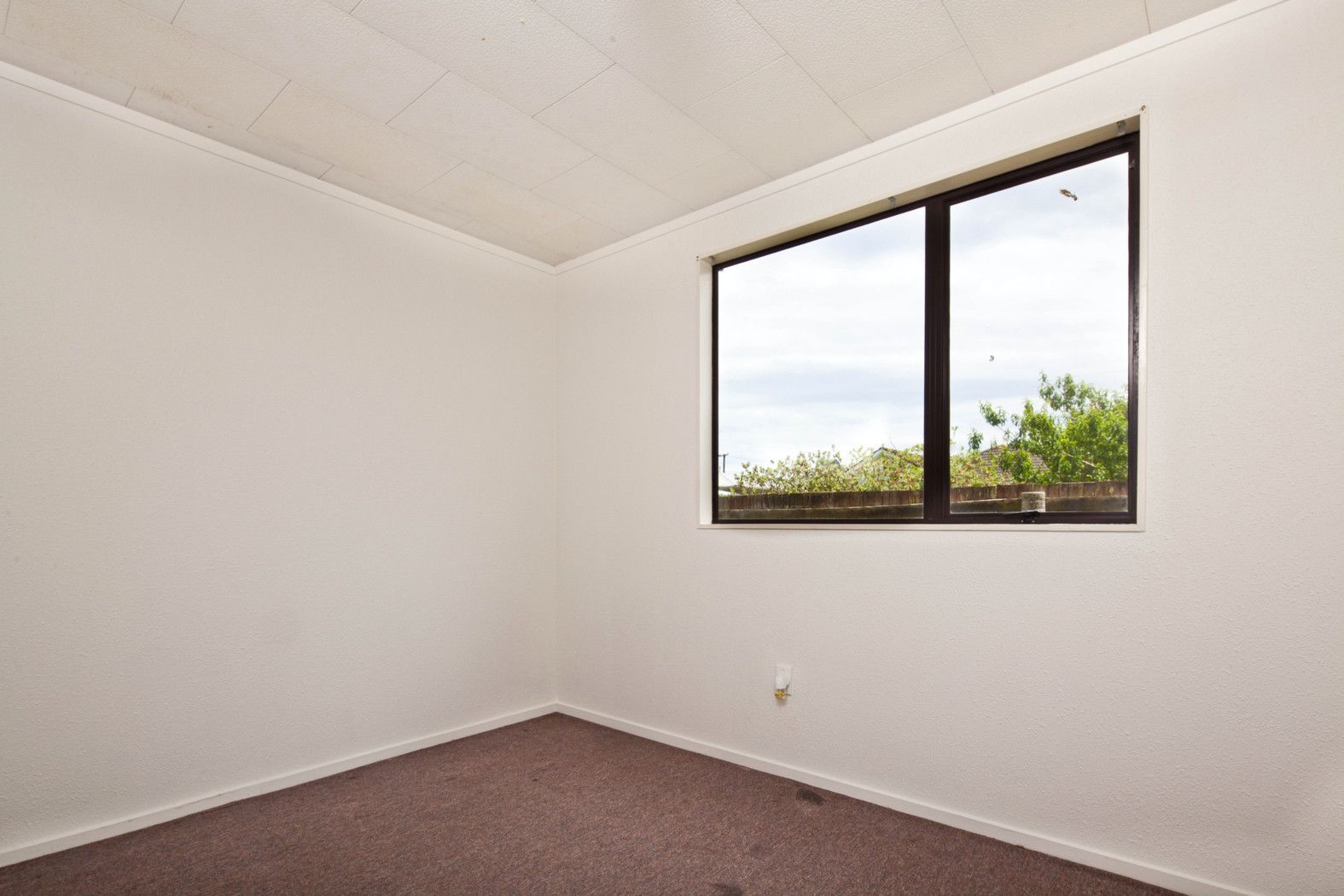 138 Buckland Road, Mangere East, Manukau City