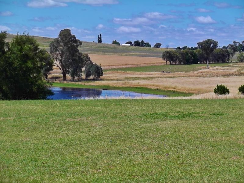 499 Wirrimah Road, WIRRIMAH, NSW 2803