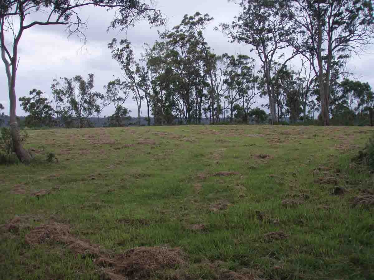 525 Preston Boundary Road, PRESTON, QLD 4352