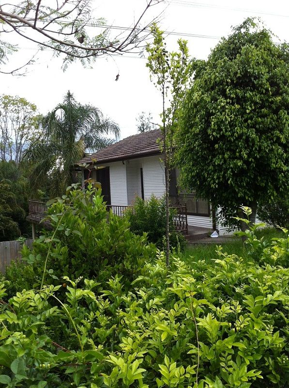 35 Dandarbong Avenue, CARLINGFORD, NSW 2118