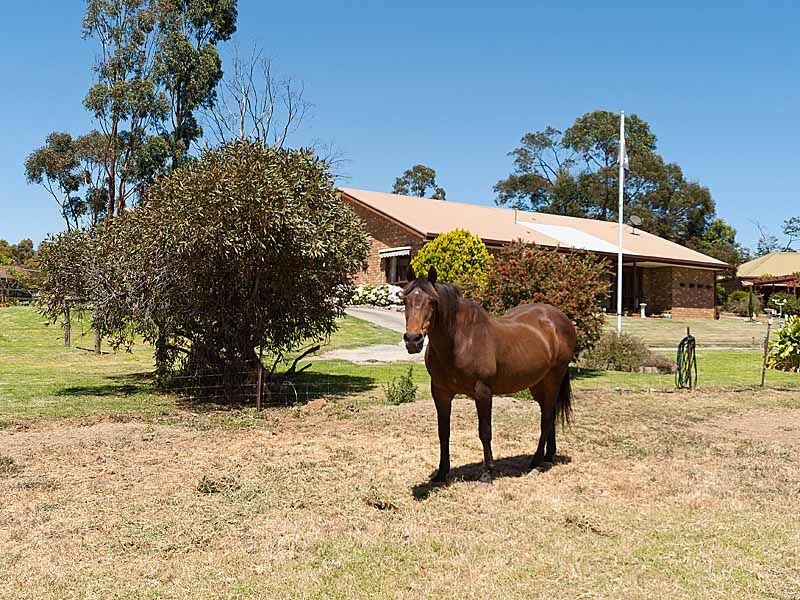 23 Summit Road, NAIRNE, SA 5252