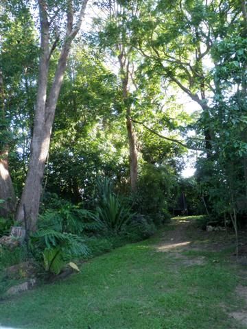 93 Eyre Street, MOUNT GRAVATT EAST QLD 4122