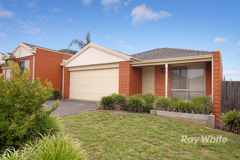 133 Bemersyde Drive, BERWICK VIC 3806