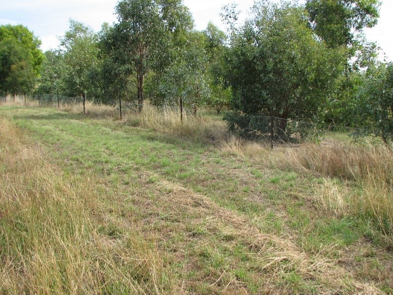 Lot 1 Peter Whitty Road, DARBYS FALLS NSW 2793