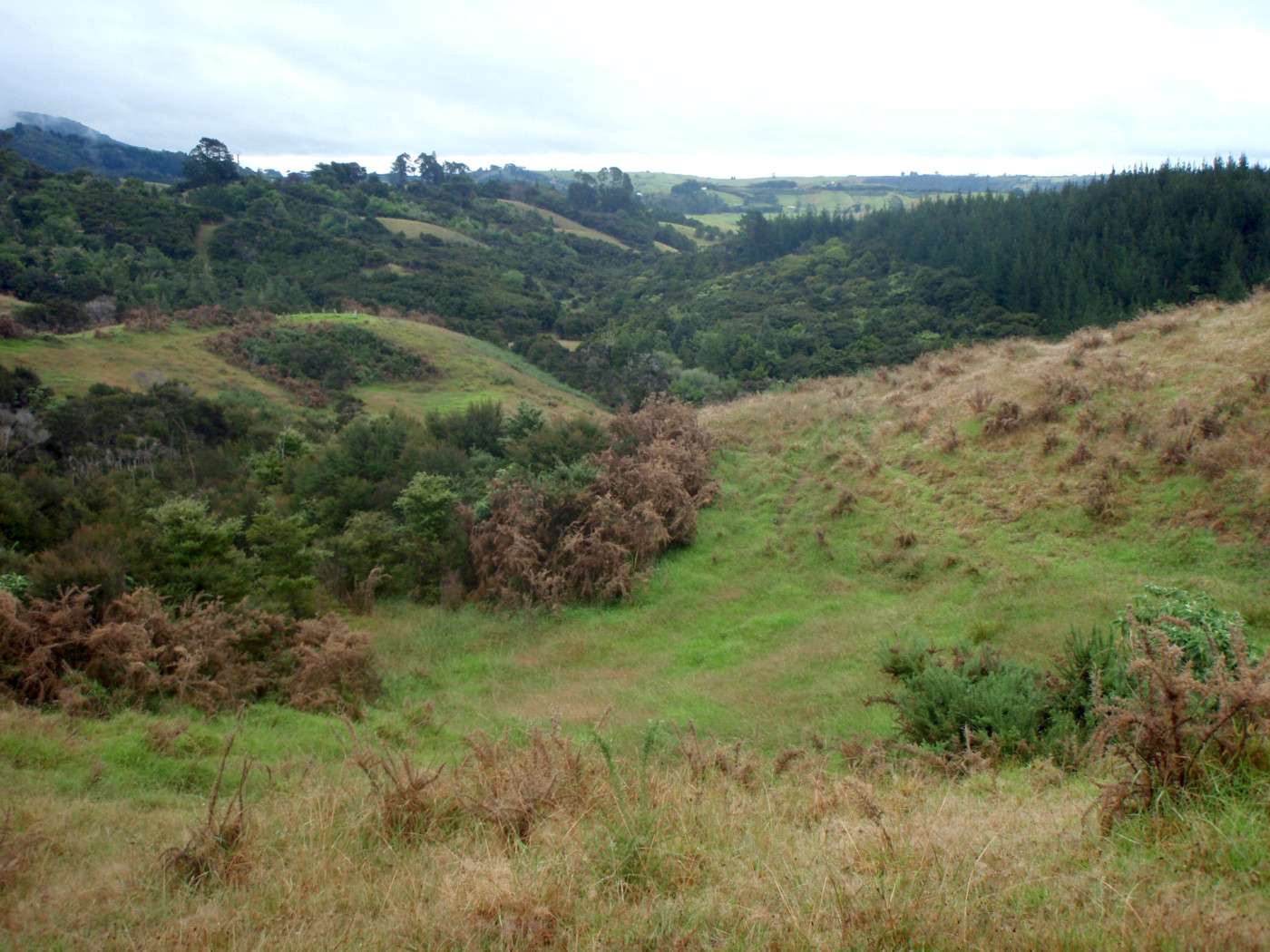 KAITAIA  Far North District  0410 photo 4