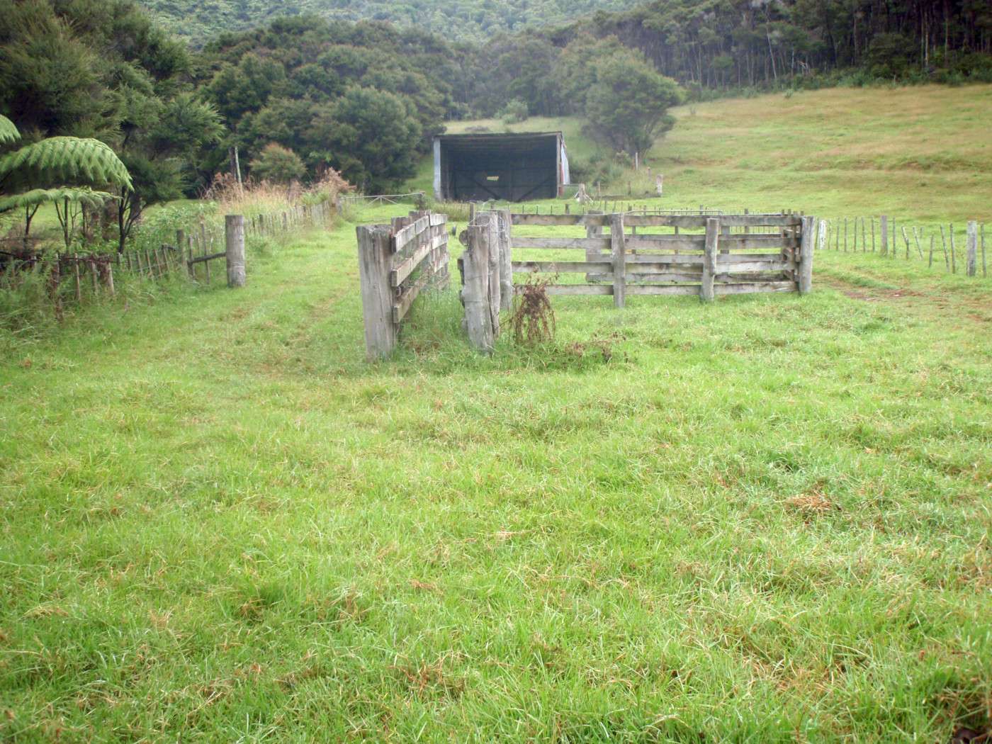 KAITAIA  Far North District  0410 photo 0