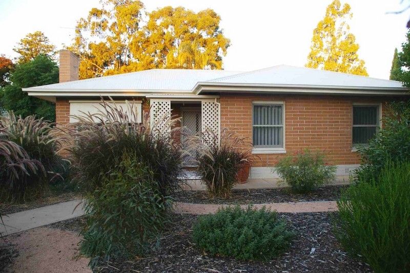 8 Kurrajong Avenue, RENMARK SA 5341