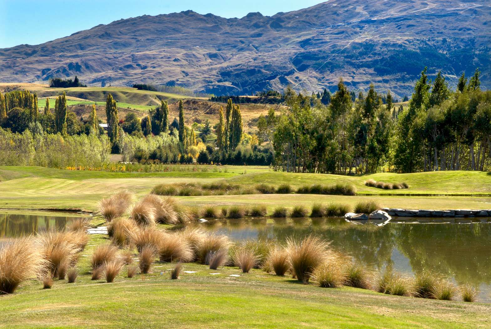 Lot 2 Reflections, Domain Road, photo 0