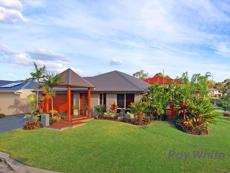 9 Pressland Street, CARSELDINE QLD 4034