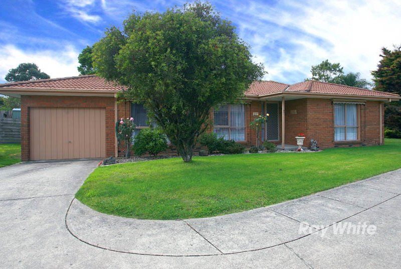 4 Blueberry Close, CRANBOURNE VIC 3977