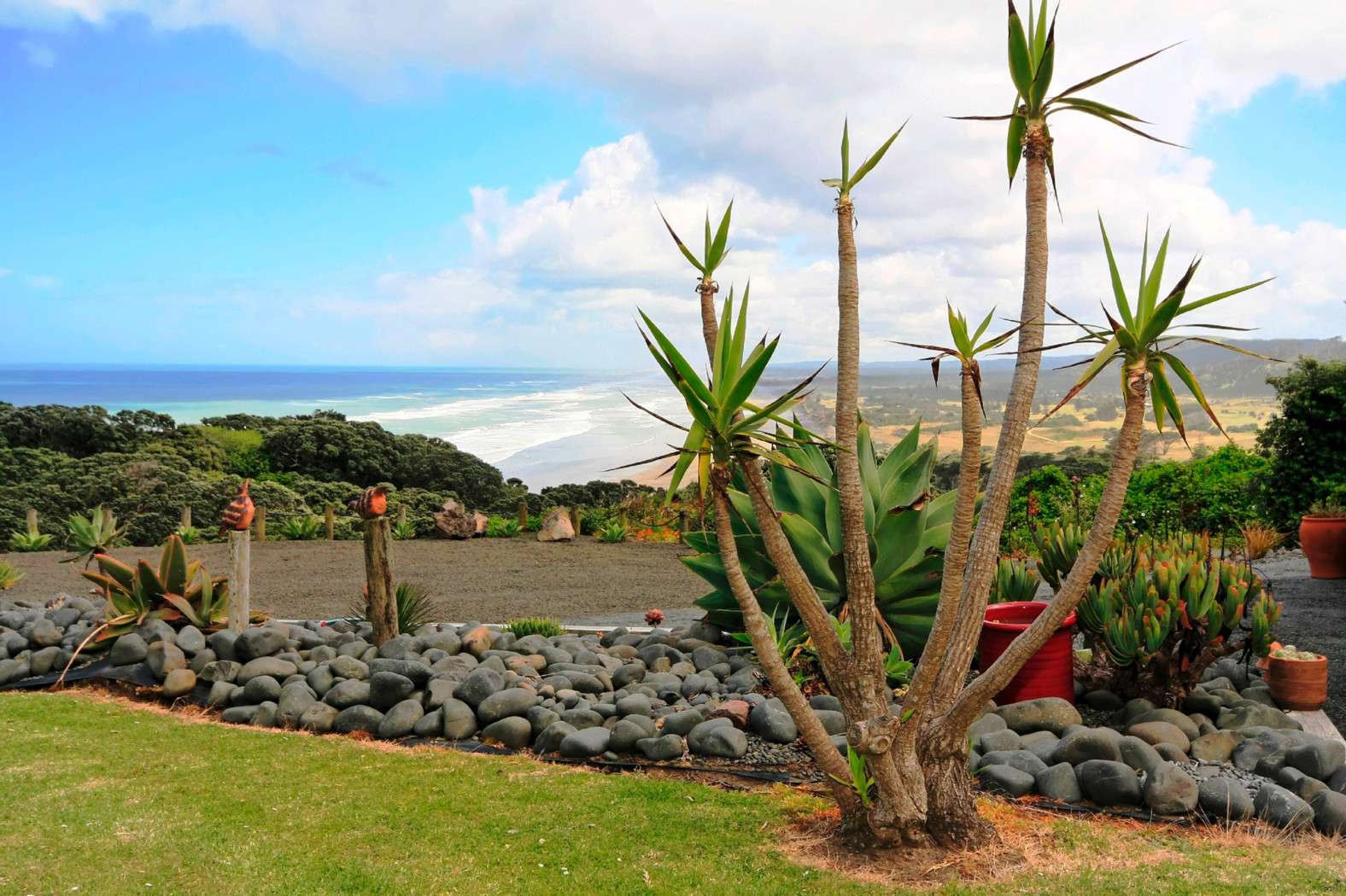 MURIWAI BEACH  Rodney  0881 photo 2