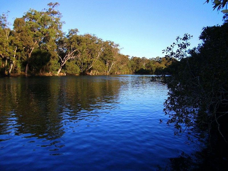 50 Tallebudgera Creek Road, TALLEBUDGERA, QLD 4228