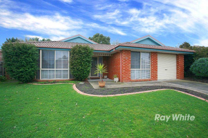 46 Frances Crescent, CRANBOURNE VIC 3977