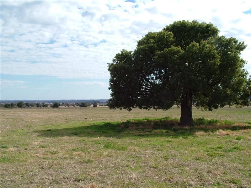 Lot 1011, 34L Pinedale Road, DUBBO, NSW 2830