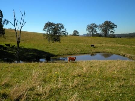 97 Woerdens South Road, CLARENCE TOWN, NSW 2321